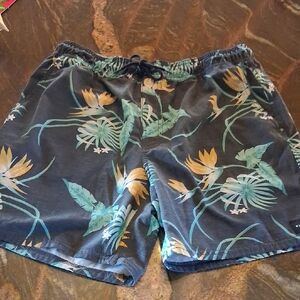 Rip Curl Tropical Print Men's Board Shorts - Blue and Green
